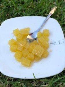 WhatsApp Image 2020-08-26 at 17.55.15